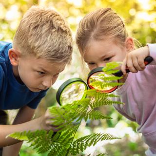 Naši mladí biológovia opäť zabojovali na olympiáde